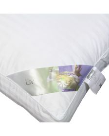 Liv hoofdkussen ergo
