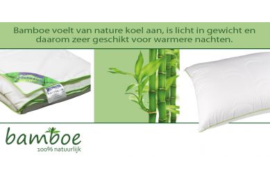 Bamboe